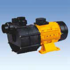 Самовсасывающие насосы для аттракционов серии “BTP”