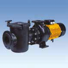 Чугунные центробежные насосы серии “CFRP” Чугунные центробежные насосы серии “CFRP”